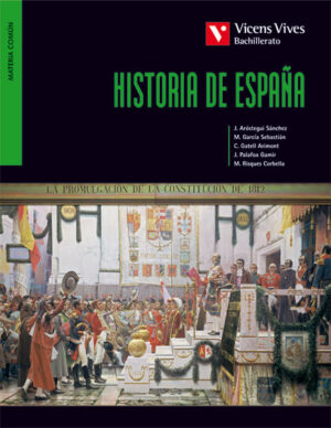 BACH 2 HISTORIA DE ESPAÑA VICENS VI