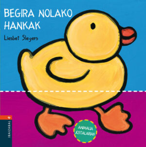 BEGIRA NOLAKO HANKAN