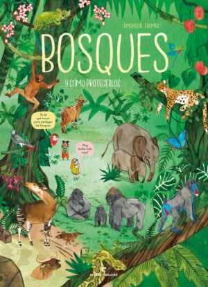 BOSQUES COMO PROTEGERLOS