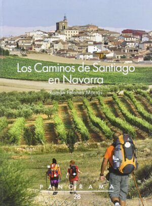 CAMINOS DE SANTIAGO EN NAVARRA