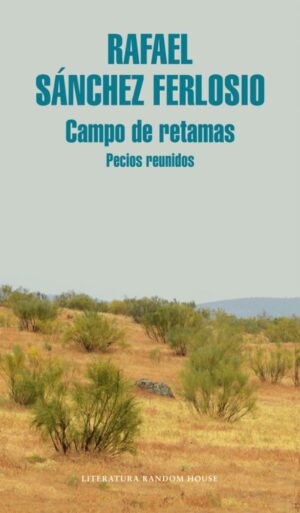 CAMPO DE RETAMAS PREICOS REUNIDOS
