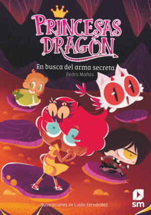 PRINCESAS DRAGON 13 EN BUSCA ARMA S