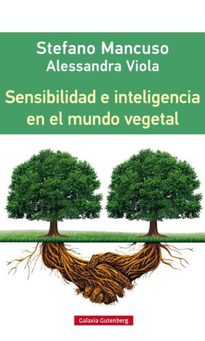 SENSIBILIDAD E INTELIGENCIA MUNDO V