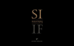 SI IF