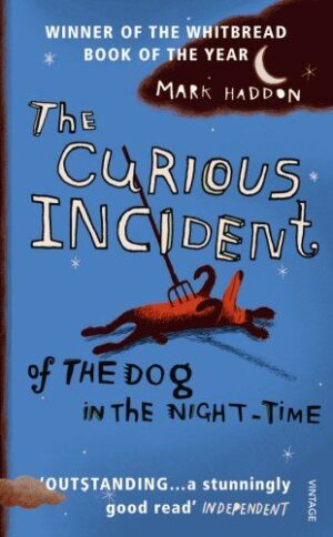 THE CURIOUS INCIDENT OF THE DOG IN